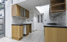 Wanstead kitchen extension leads